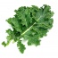 Cải xoăn (cải Kale) hữu cơ